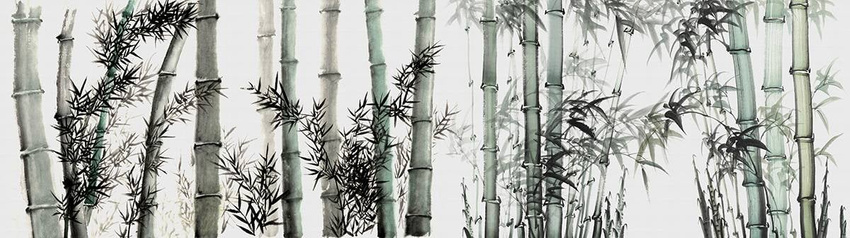 258_002 – fototapeta Taplab